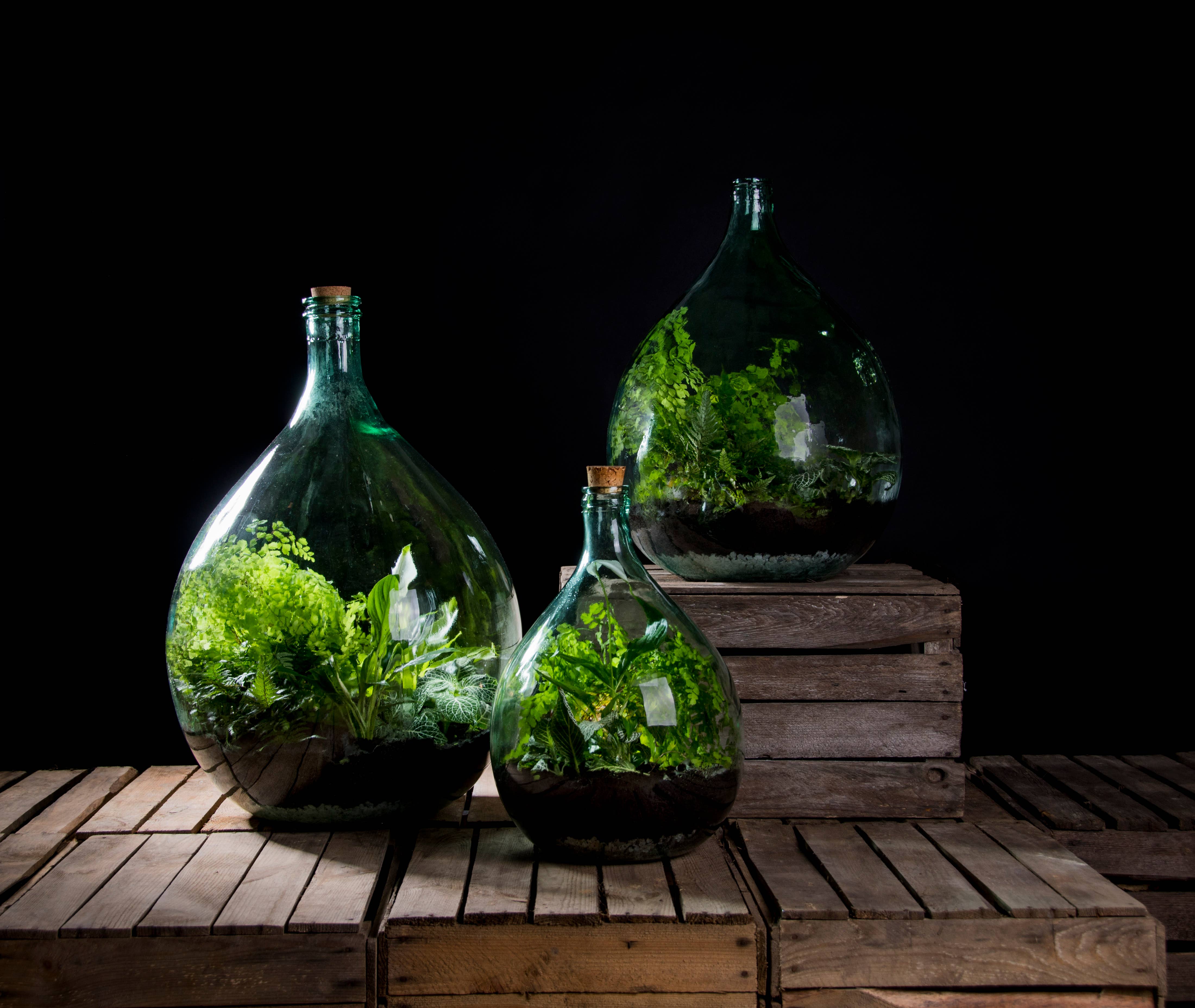 Esschert Design USA - Wholesale Terrarium - Terrarium Bottle w/Tools, 5 L, Glass, Green - Small3