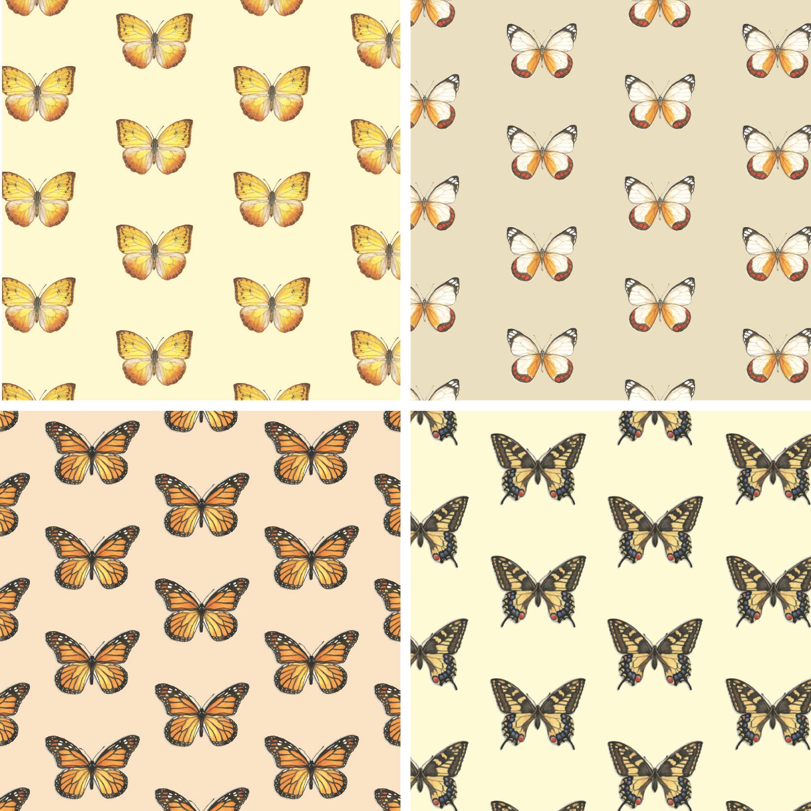 Yeesan Loh - Wholesale Flat Wrap - Gift Wrap / Butterflies & Moths6