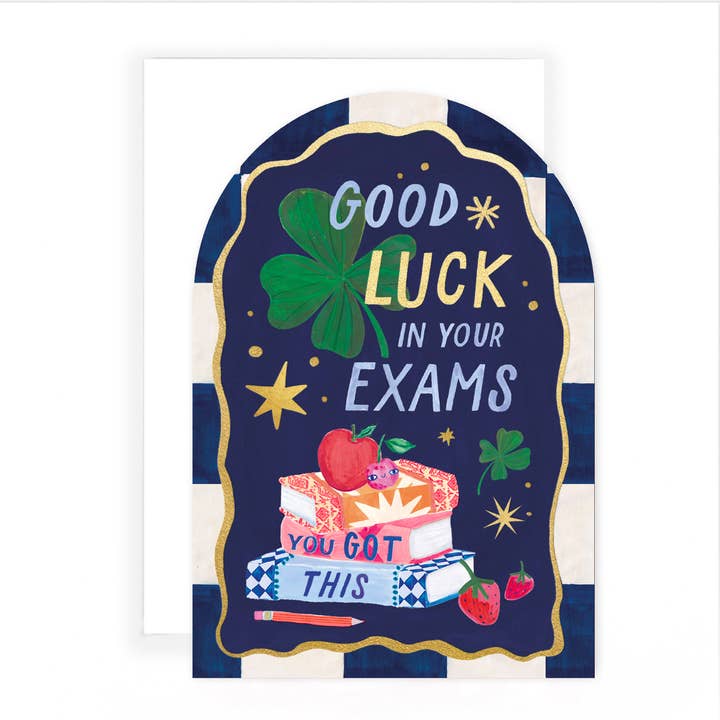 Pablo Exam Succes Boeken voor wholesale door Hotchpotch