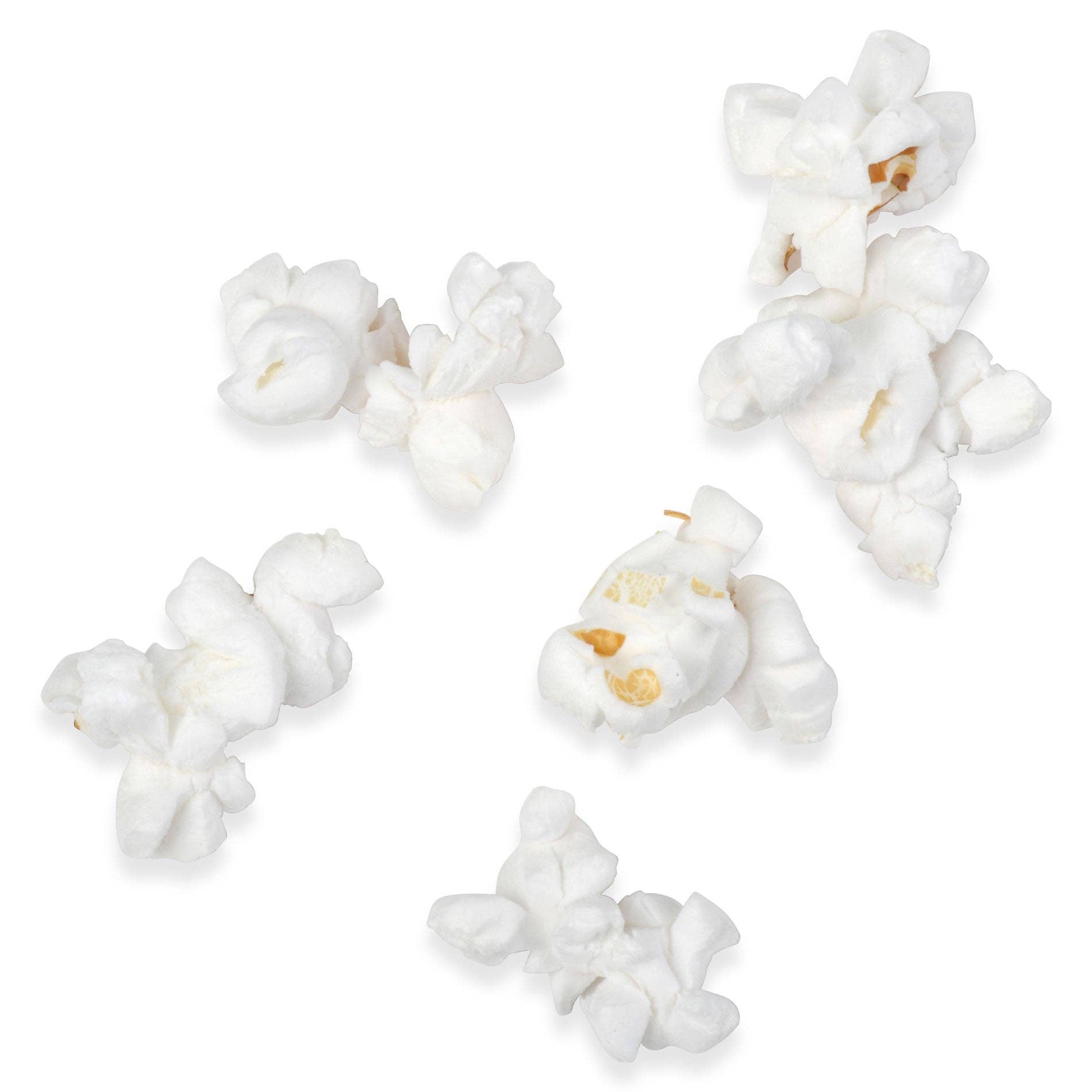 Princeton Popcorn Company, LLC – Engroshandel Popcornkerner – 2lb pose Princeton Popcorn store gule popcornkerner, luftige og store, ikke-GMO, skrogfri, direkte fra landmanden, glutenfri til popning, ideel til oliepopcornmaskine, mikrobølgepopcorn eller luftpopper.1