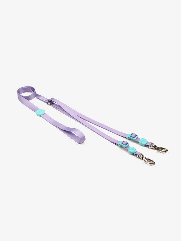 Dubbele hondenriem in lila voor wholesale door Toh