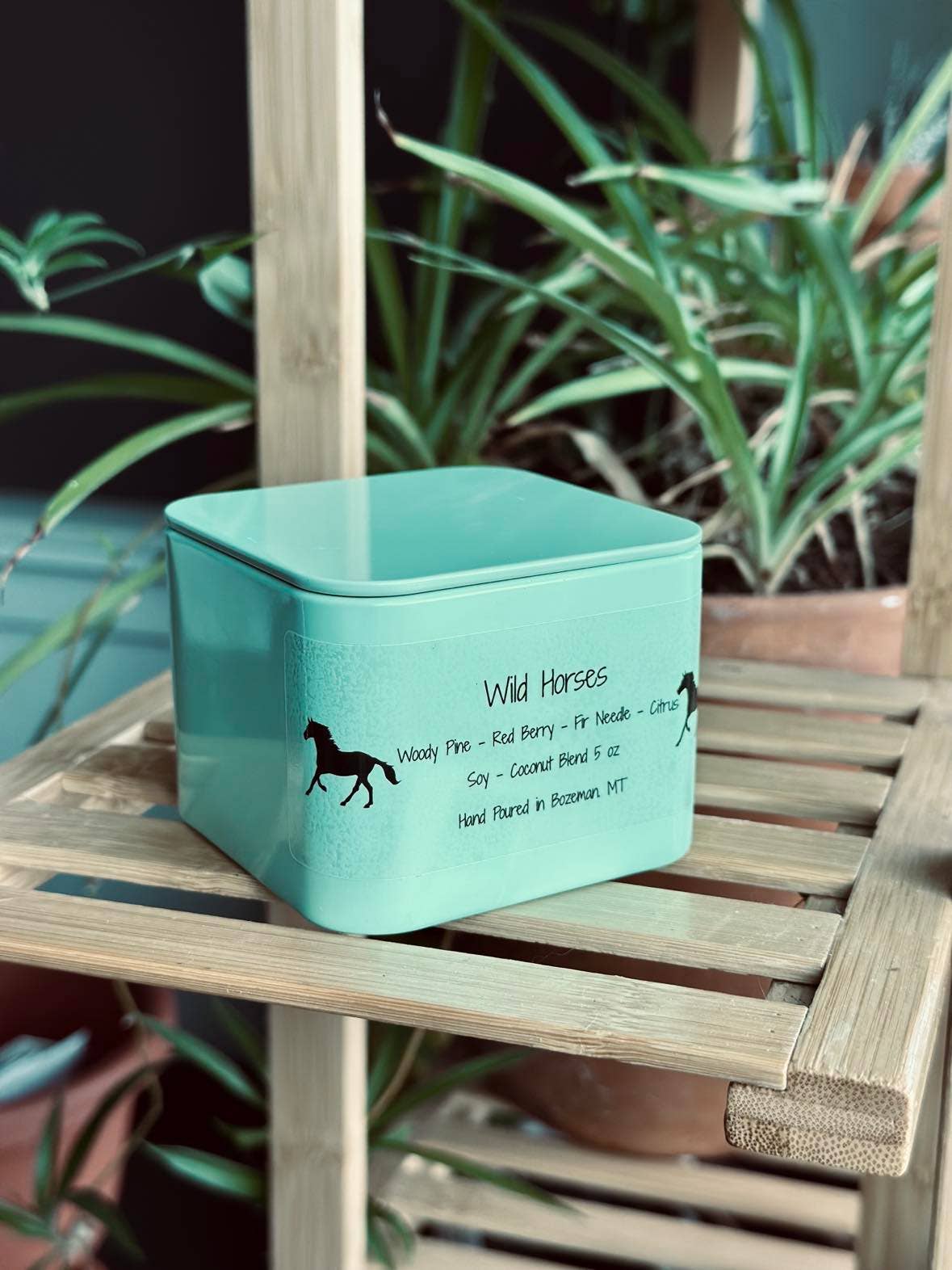 Cloudy Babe - Wholesale Travel Candles - Wild Horses Soy Candle