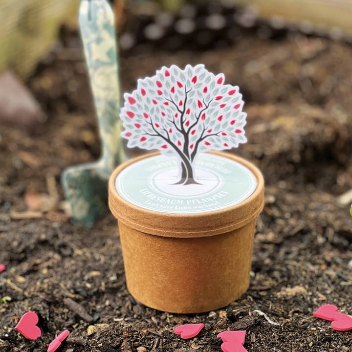 Wunderle GmbH - Wholesale Plant Seeds - Love tree pot for growing love for a lifetime1