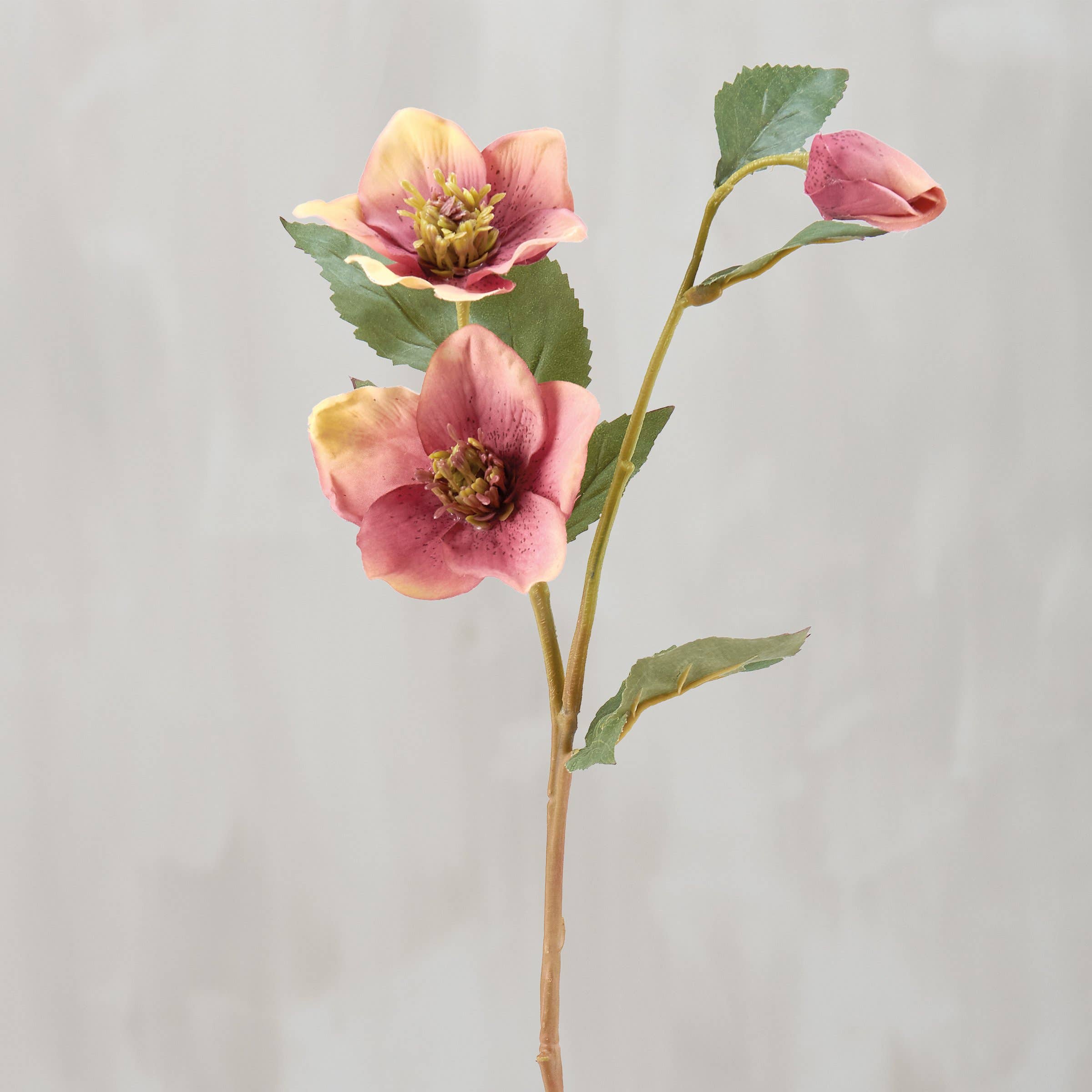 Primitives by Kathy - Wholesale Artificial Flowers - Pink Hellebore Floral Pick0