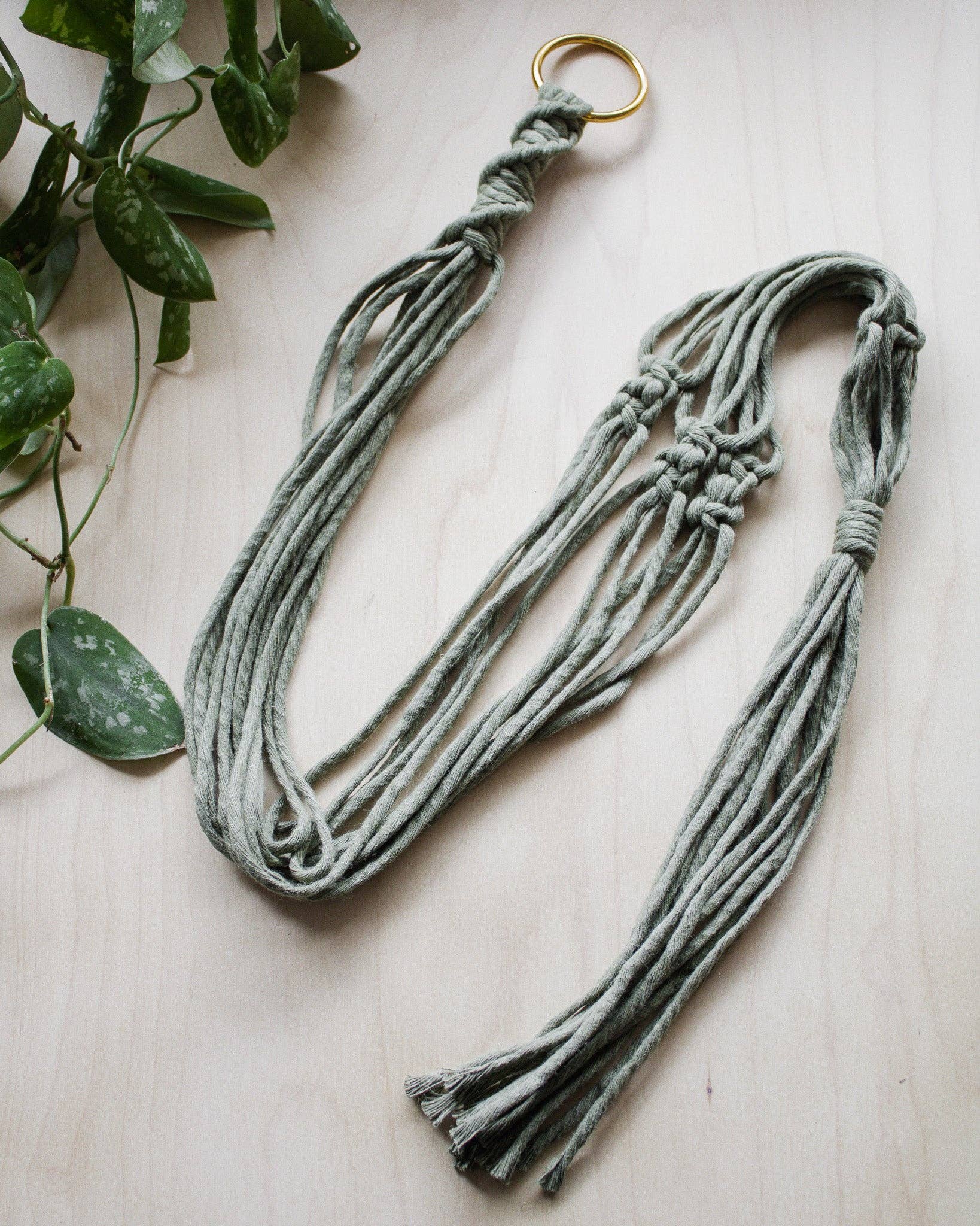 Modern Bo Studio - Wholesale Hanging Planter - Basic Macrame Plant Hanger6