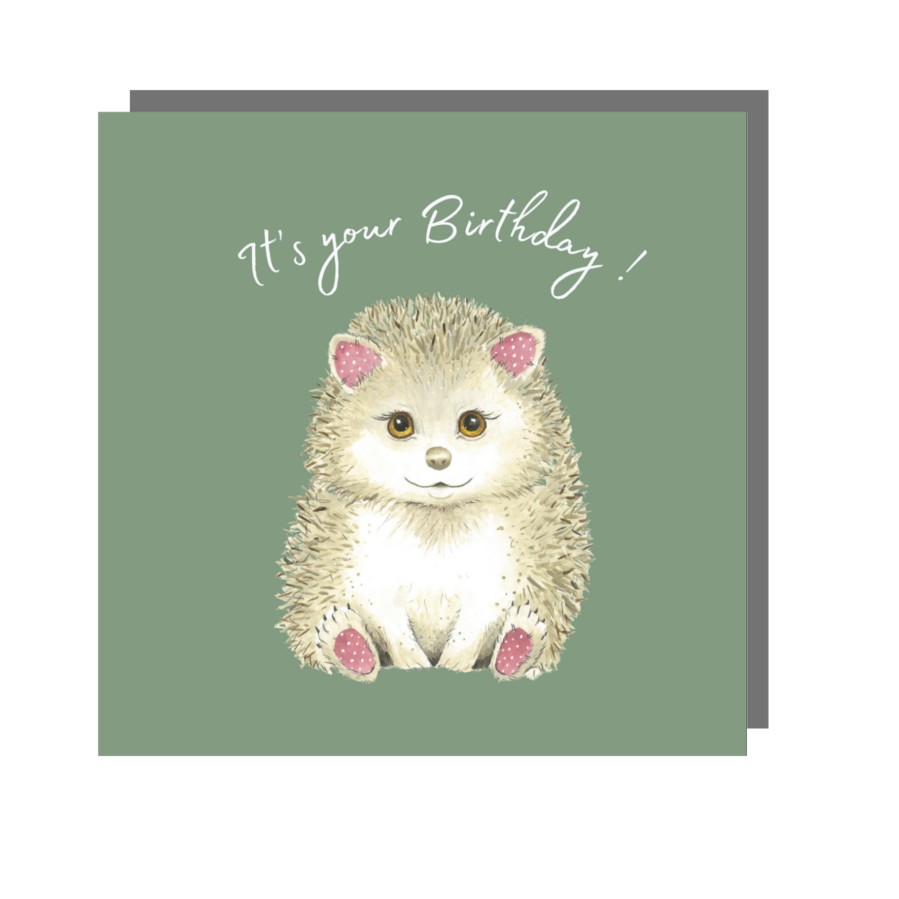 Love Country – wholesale Birthday card – Children's Birthday Cards Bundle - BUMPKIN Collection13