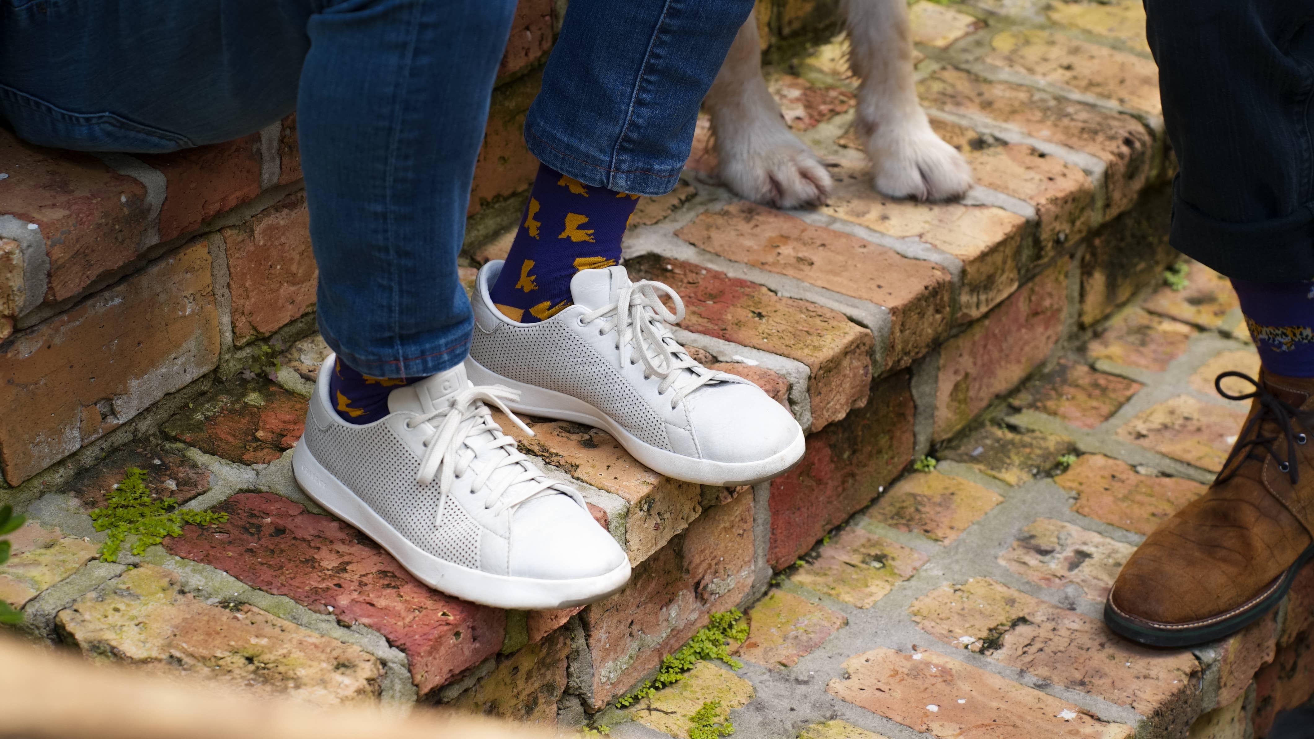 ELL & Atty - Wholesale Socks - Men's - Tiger Den Men's Socks in Purple and Gold Pima Cotton4