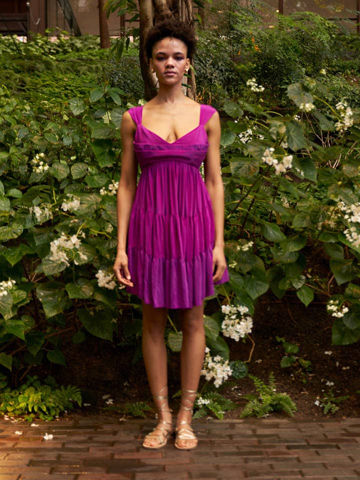 Orquídea Aurora por atacado de Rebecca Elizabeth