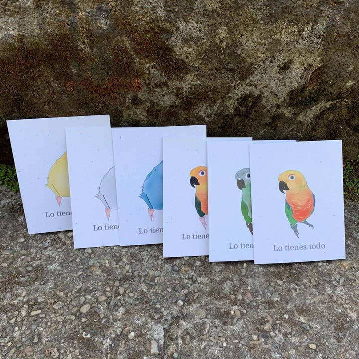 Lo Tienes Todo Card Set of 6 | Assorted Spanish Encouragement Cards | Birds for wholesale by Hakuna Matata Vibes