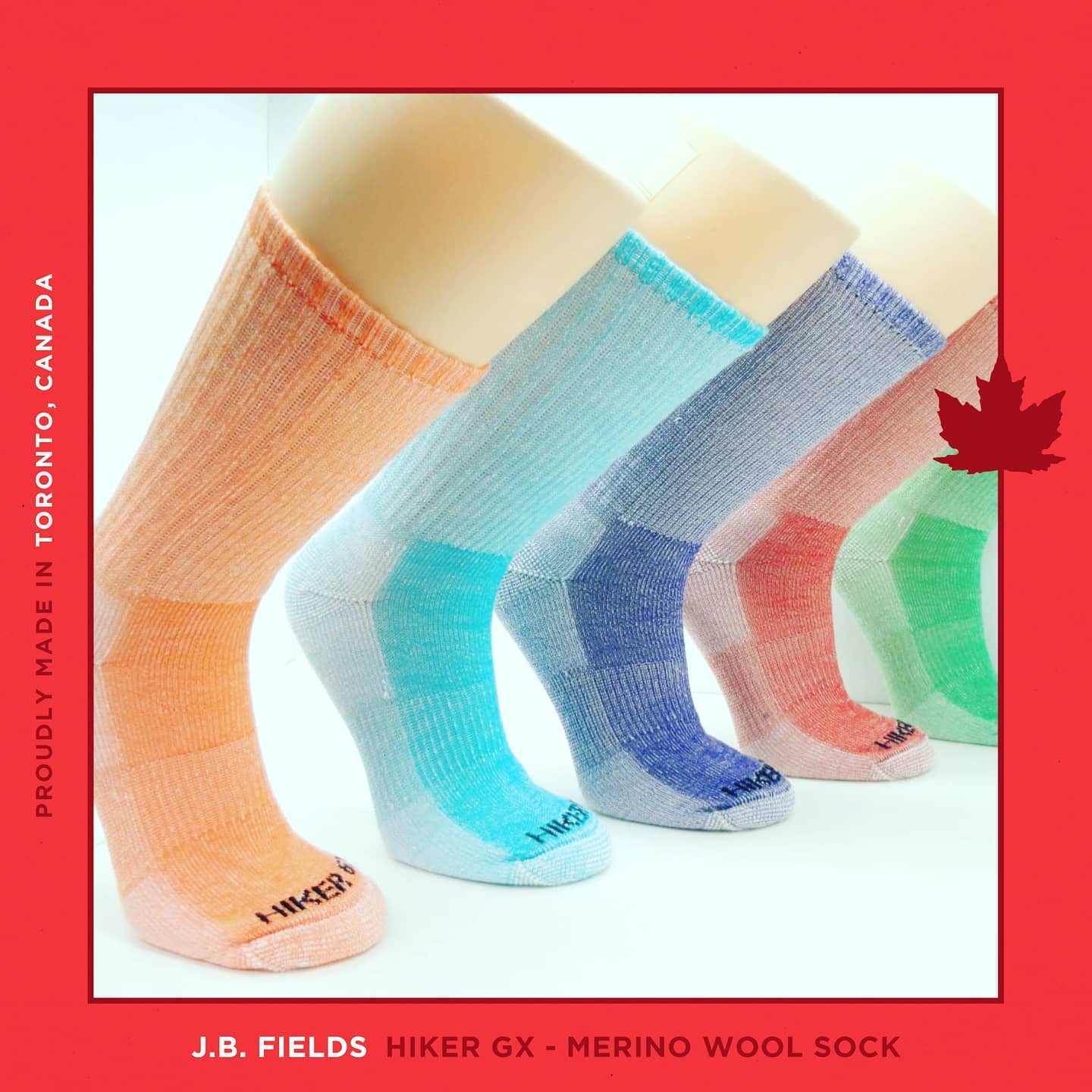 The Great Canadian Sox Co. Inc. - Vente Chaussettes – unisexe - Hiker GX Colorful Crew14