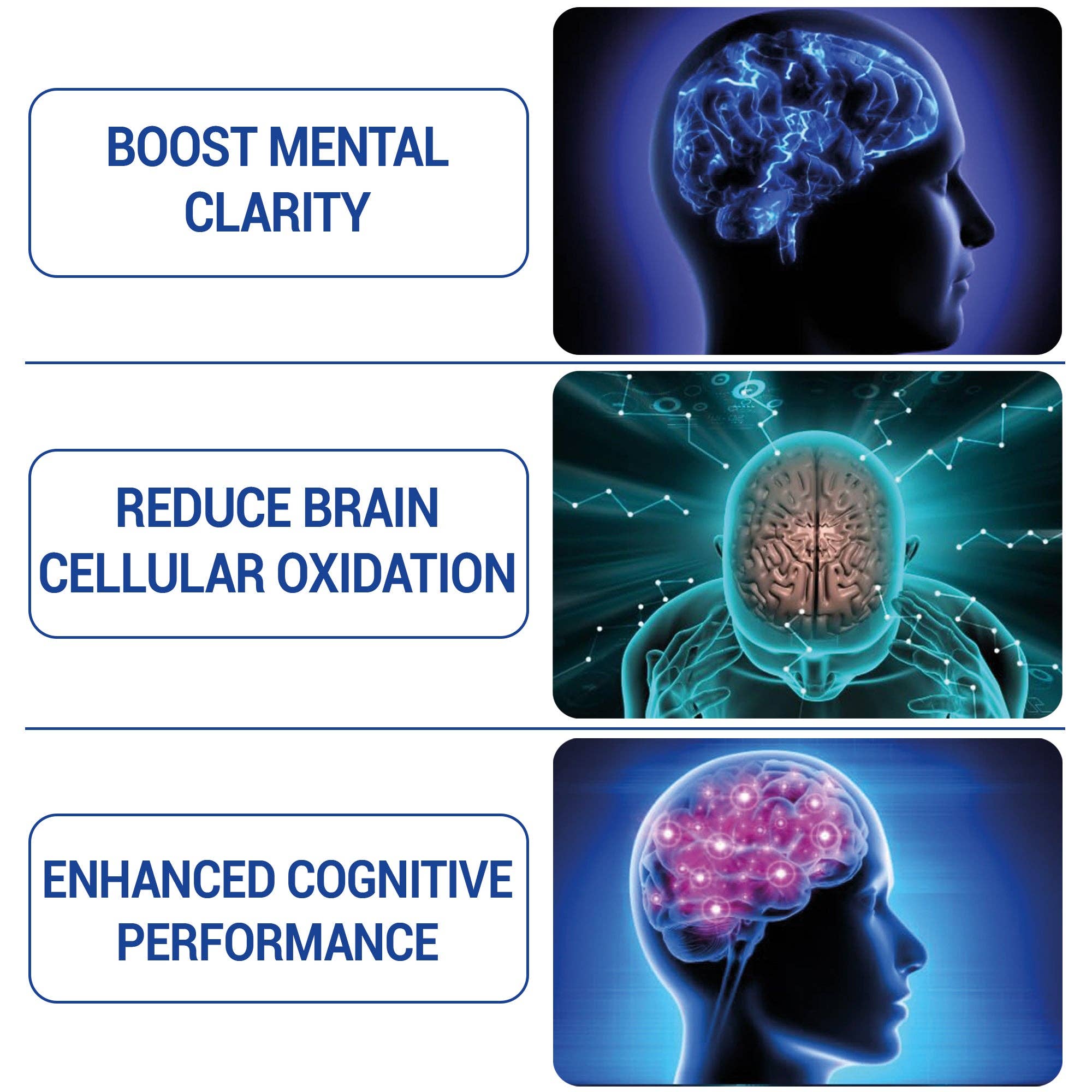 HARMONIFY - Wholesale Oral Supplement/Vitamin - Methylene Blue Gummies 1000 mg – USP Grade  | Brain & Mitochondrial Support | 60 Days Supply2