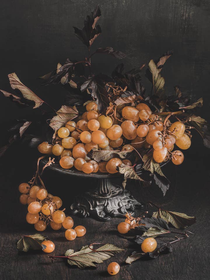 A Long Midnight | Art Print| Gothic Fruit Still Life for wholesale by Alyssa Thorne