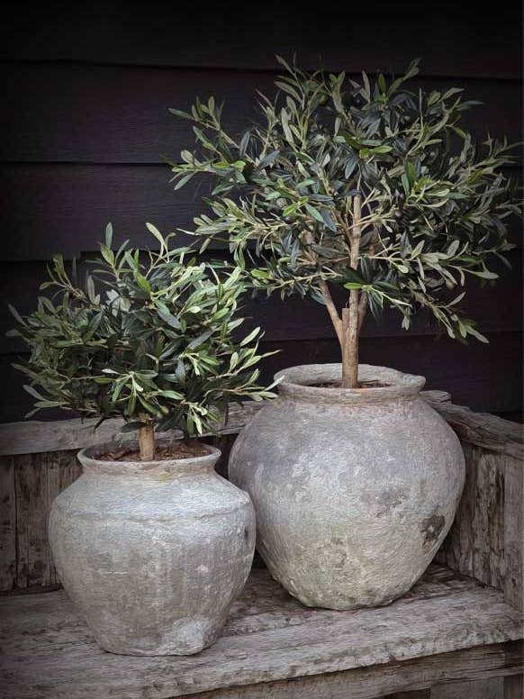 Haveplakat B18: de to olivenpotter for engroshandel hos Nino-Art