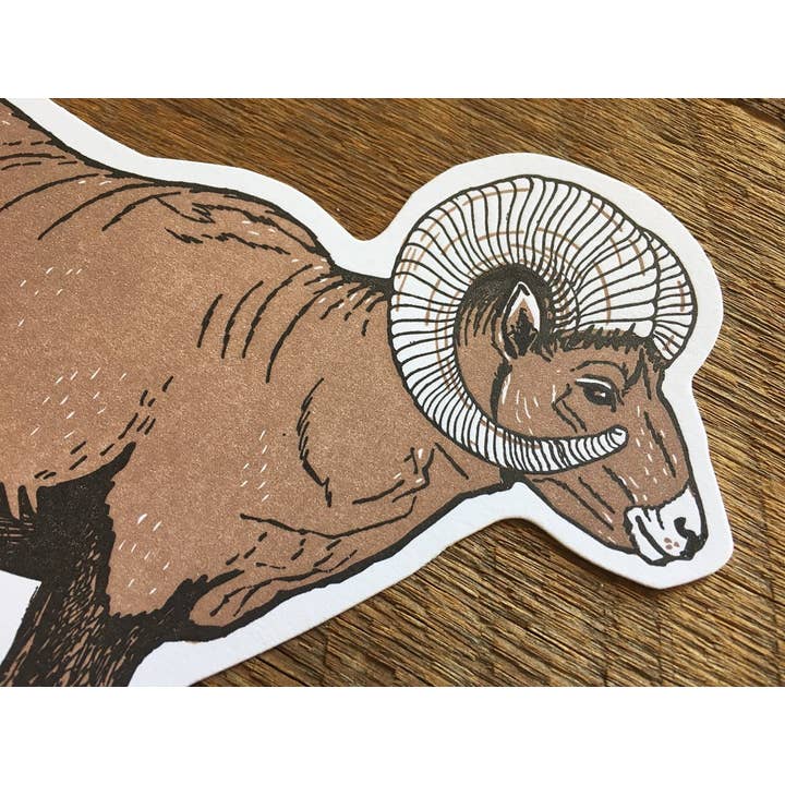 Noteworthy Paper & Press - Wholesale Postcard - Bighorn Sheep Postcard4