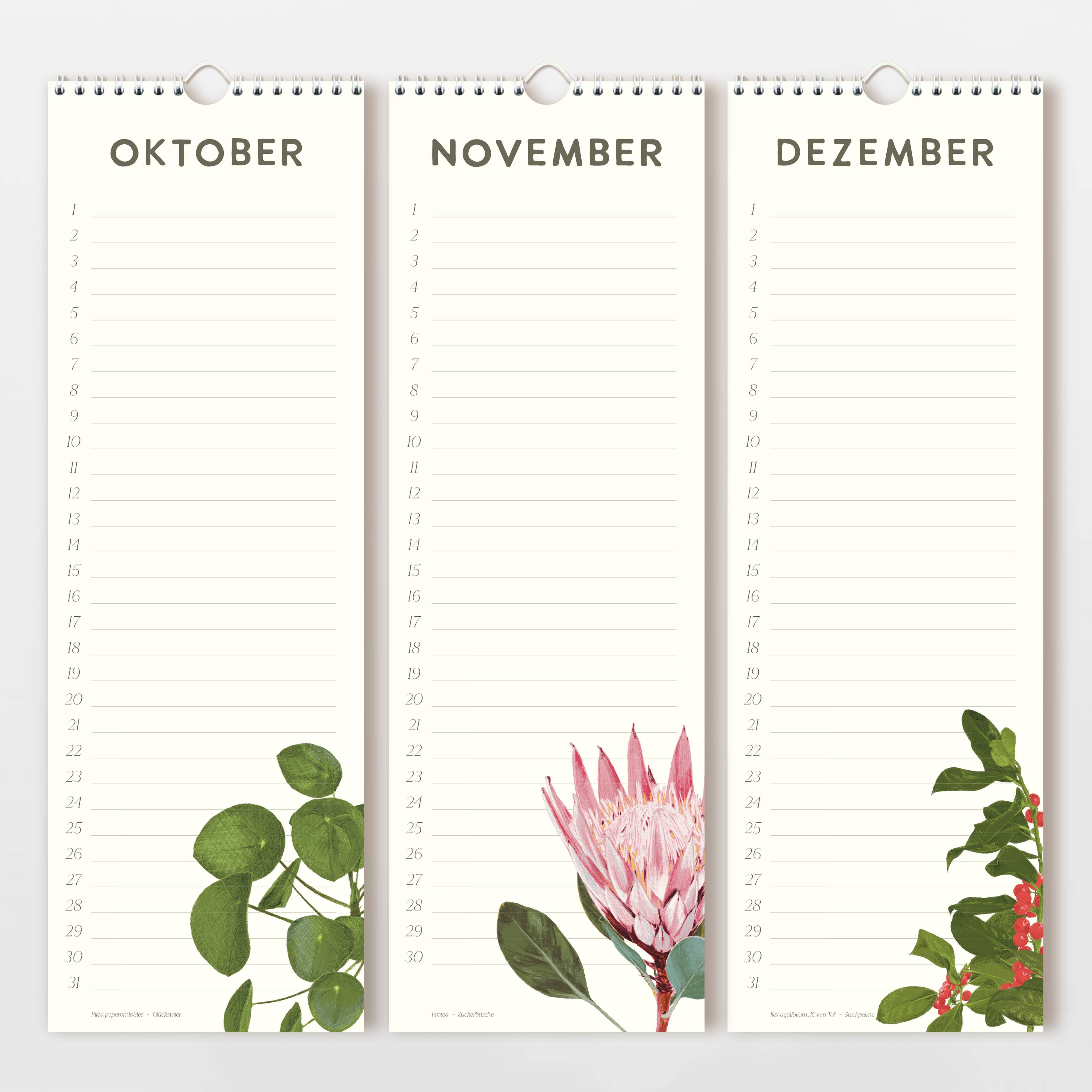 Wildblumen Atelier - Wholesale Calendar - Birthday calendar 15x44 cm hand-drawn flowers, FSC7