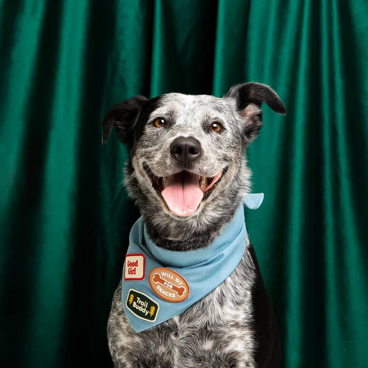 Scout's Honour - Wholesale Pet Bandana - Dog - Good Girl iron-on patch for dogs
