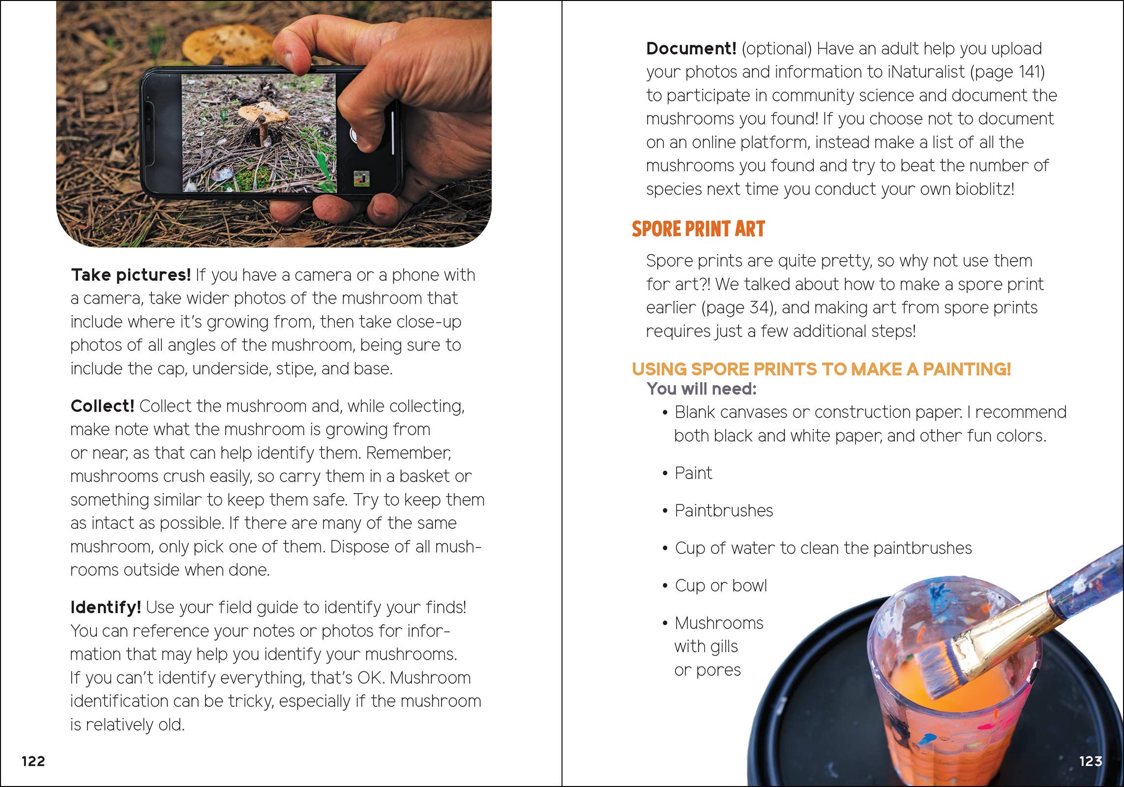 AdventureKEEN - Vente Nature et plein air - Champignons & Fungi pour les enfants15