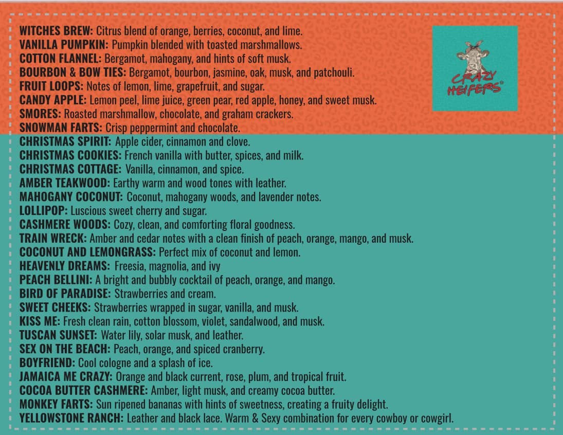 Crazy Heifers Wholesale - Wholesale Car Freshener - Women's - Car Diffuser Bar Starter Kit7