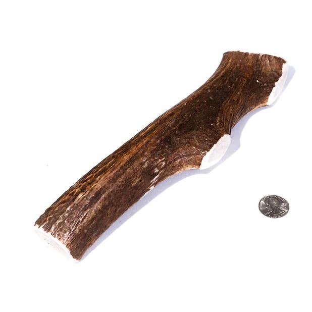 Jumbo Elk Antler Dog Chew for wholesale by Summit Antler Chews