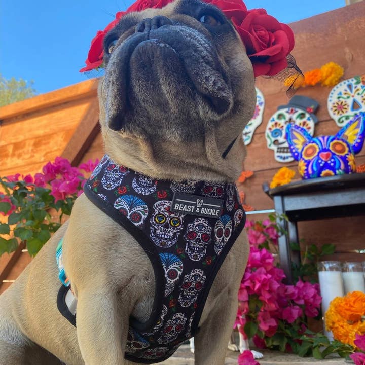 Beast & Buckle - Wholesale Pet Harness - Dog - Sugar Skulls Reversible Dog Harness2