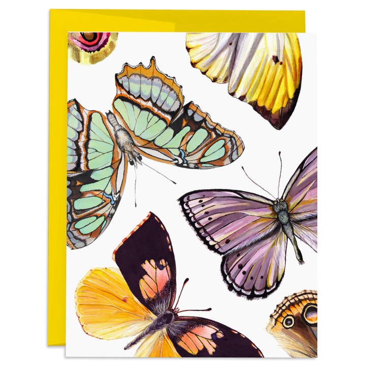 J6R6 – Cartão de saudação diária por atacado – Cartão de Borboletas e Traças – Cartão Artístico Brilhante em Branco