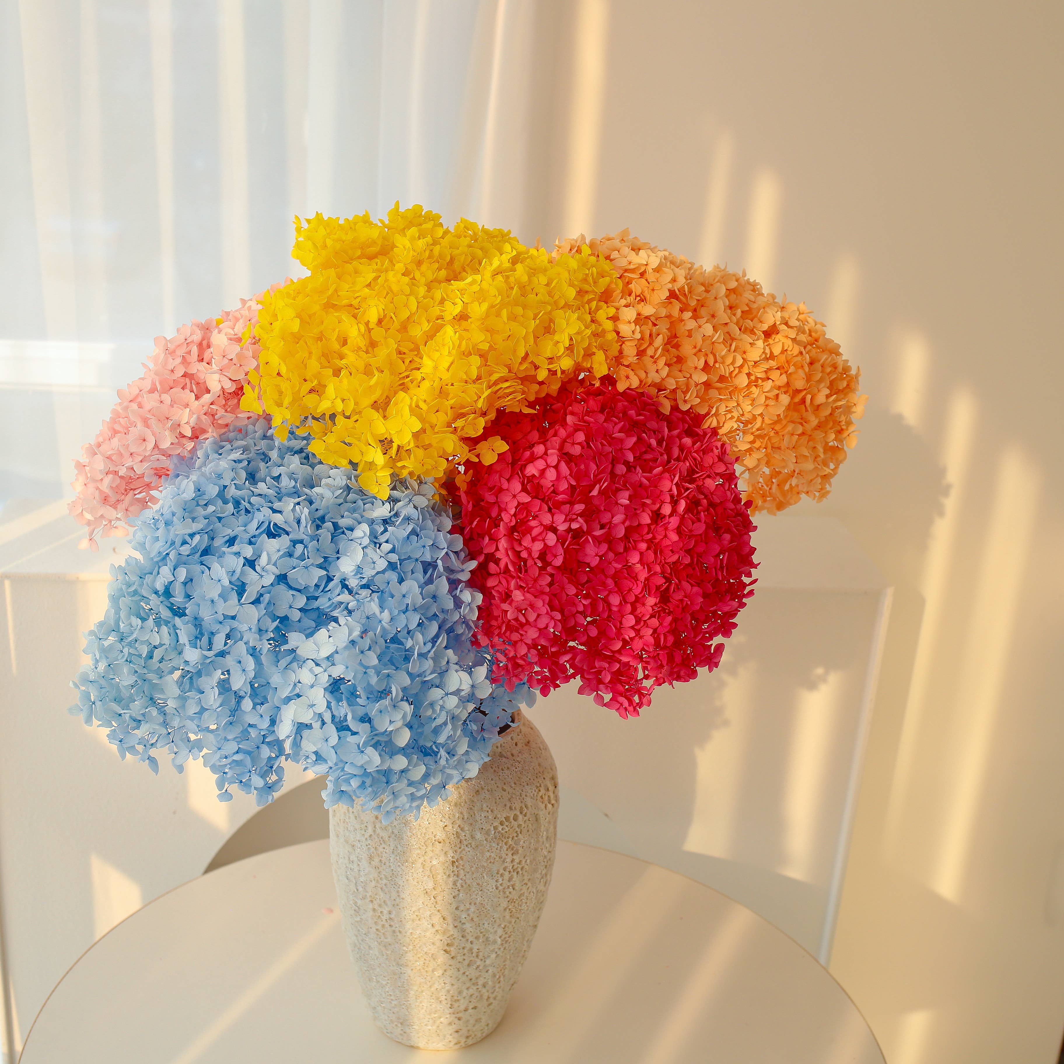 Floral Fields - Wholesale Dried/Pressed Flowers - Dried Preserved Hydrangea Large Head for Floral Design15