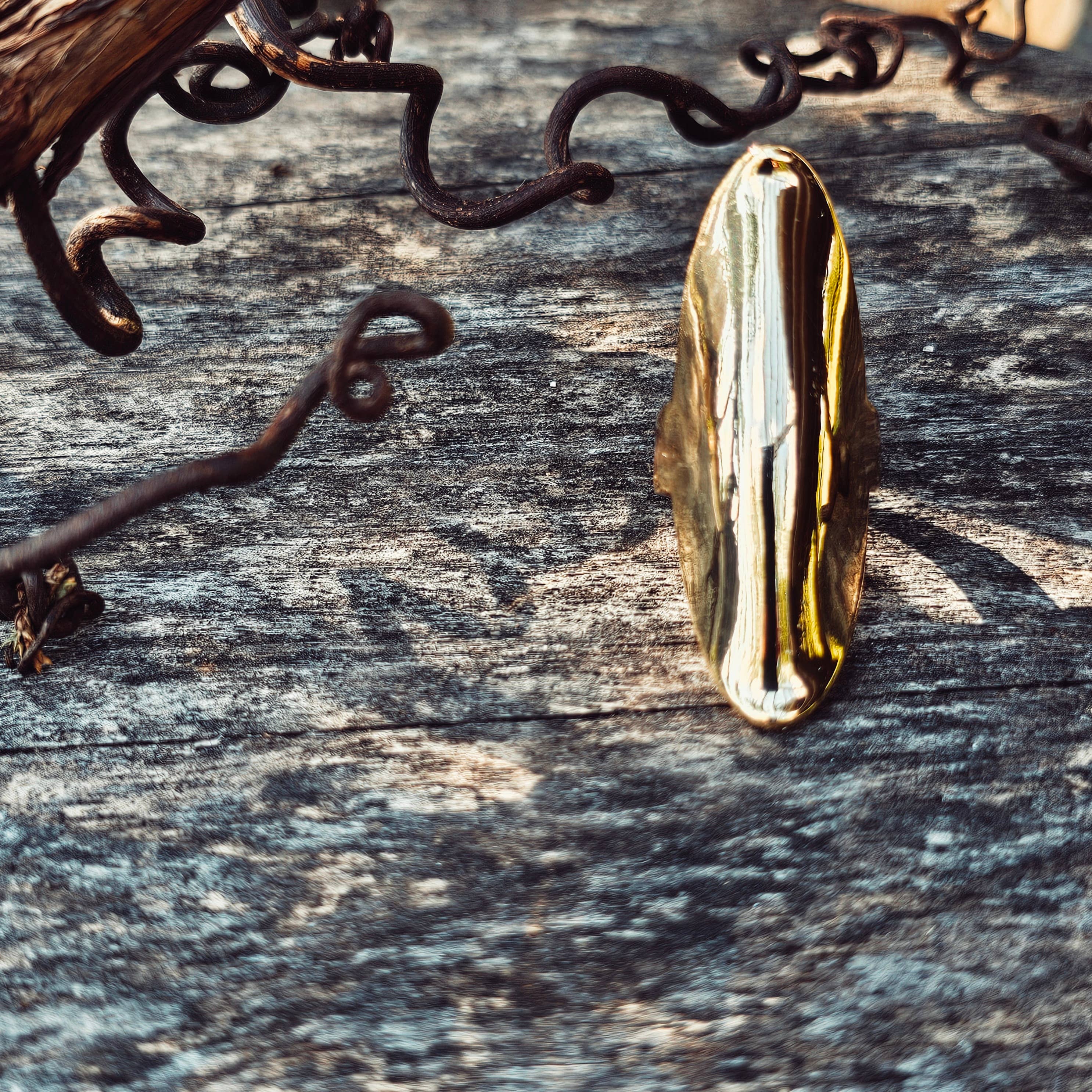 Bisjoux - Wholesale Cocktail/Statement Ring - 18k gold plated big armor long  bold ring   4