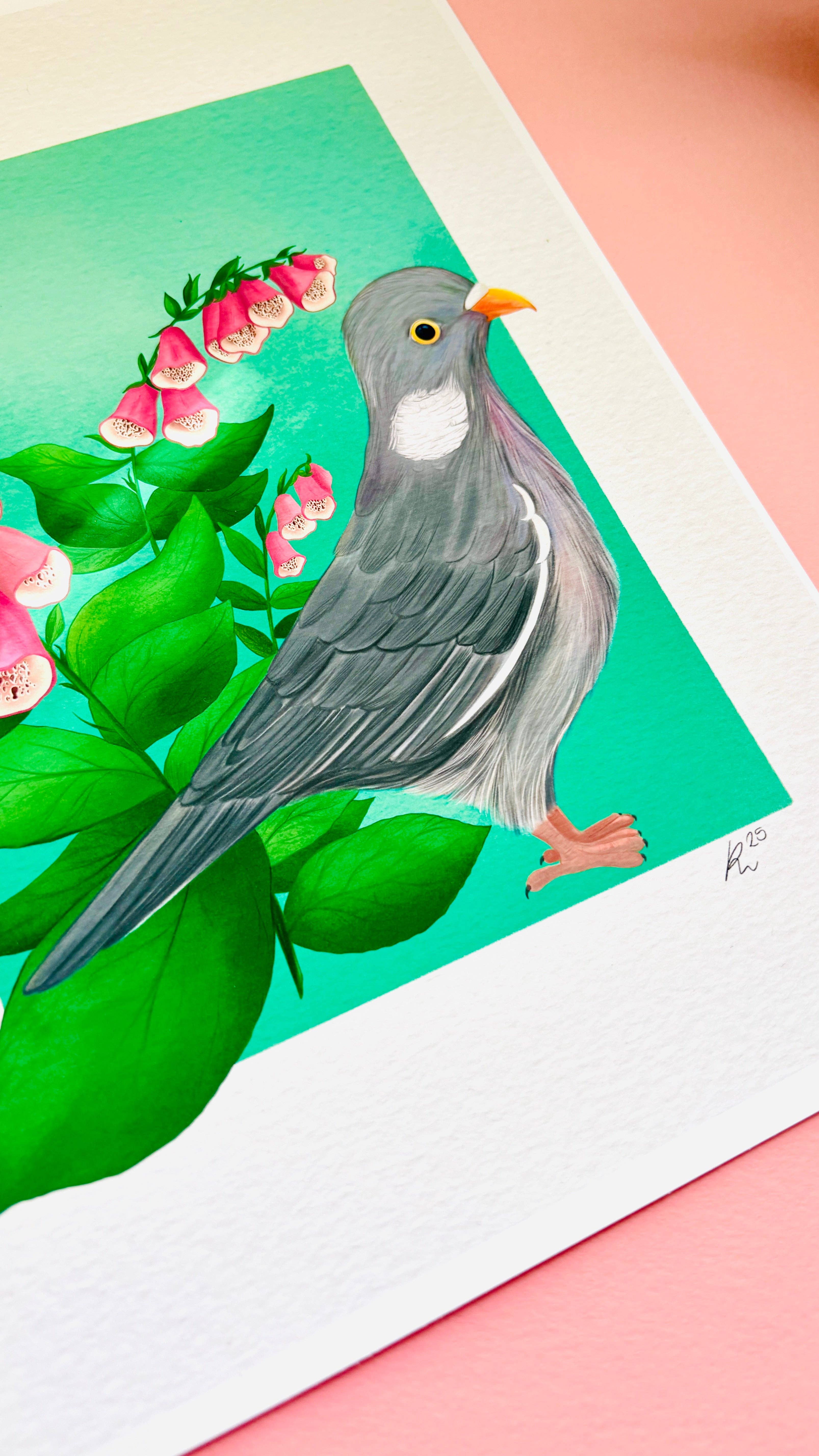 Pixiecraft - Wholesale Art Print - Wood Pigeon Art Print- British Wildlife Illustration4