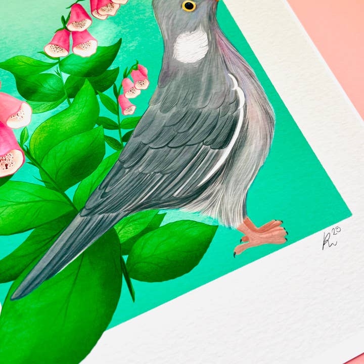 Pixiecraft - Wholesale Art Print - Wood Pigeon Art Print- British Wildlife Illustration4