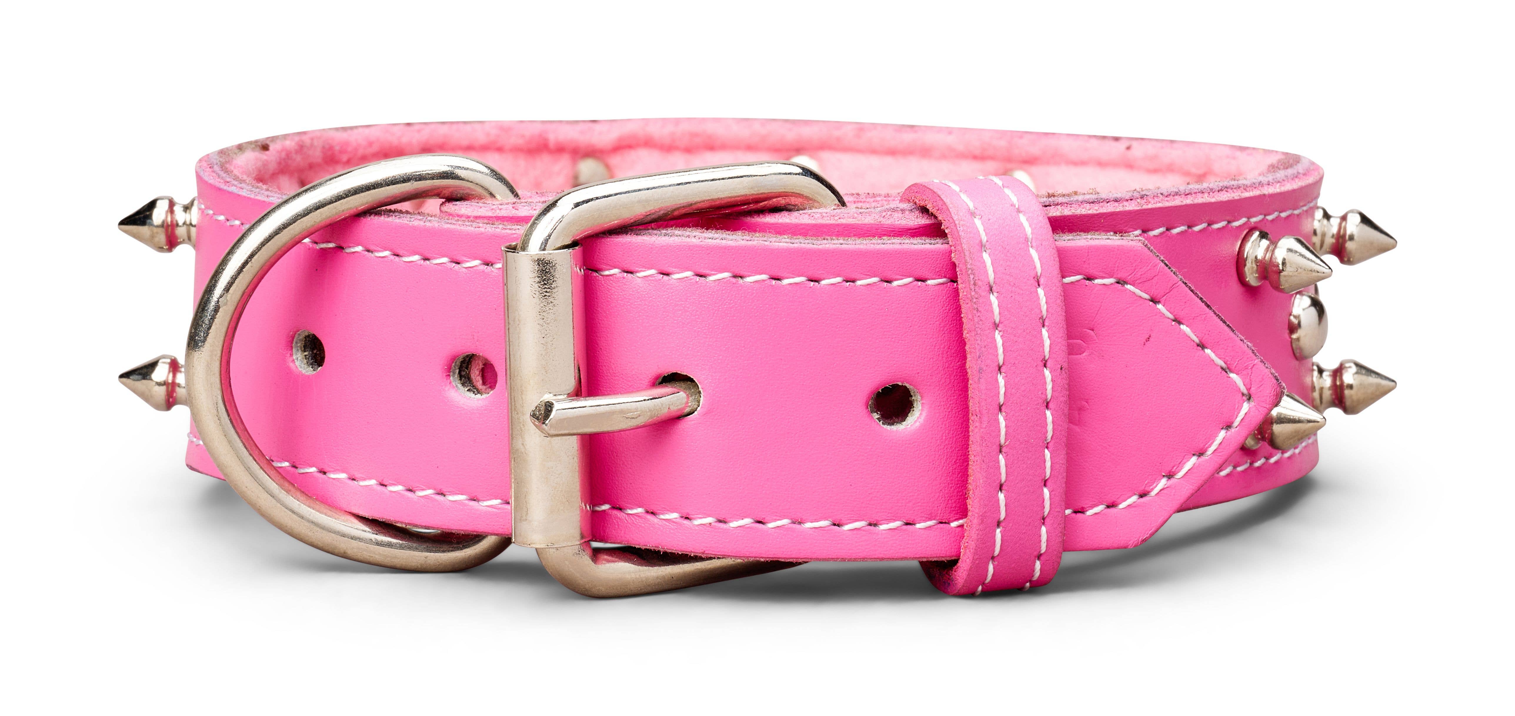 TOP DOG BRAND INC - Vente Collier – chien - Colliers en cuir à pointes de 1 3/4 pouce de large9