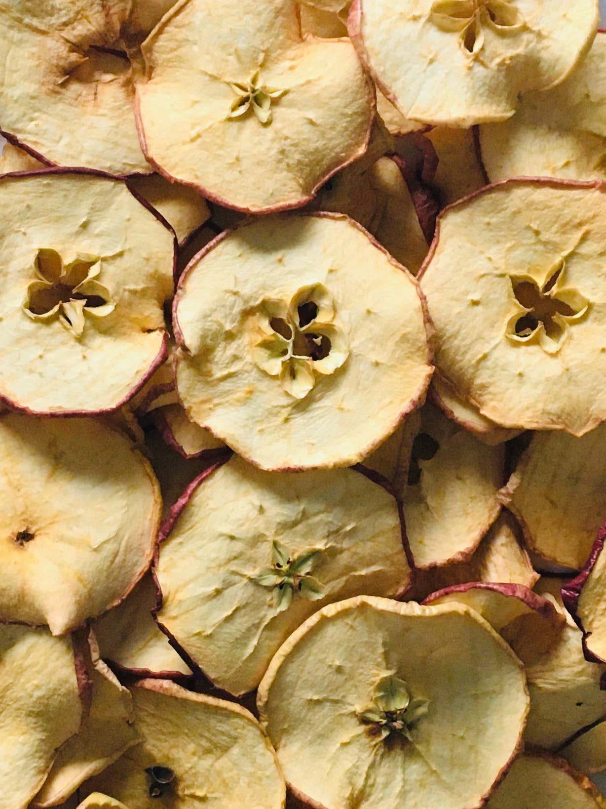FreshDried - Wholesale Dried/Dehydrated Fruit - Dried Apple Slices - organic1