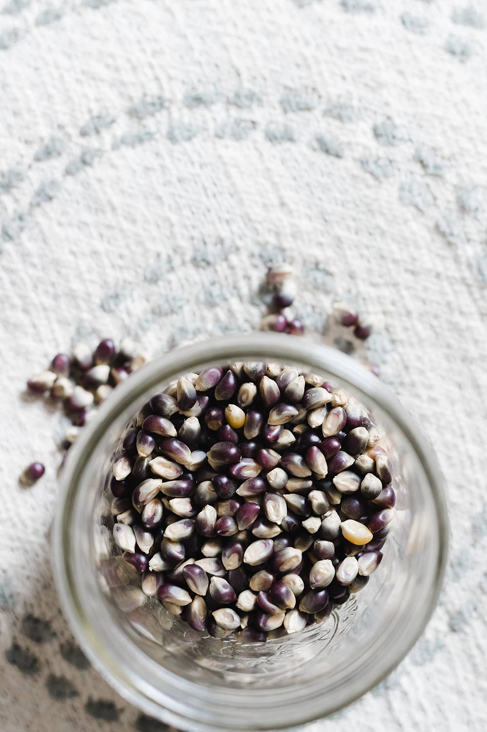 Amish Country Popcorn - Wholesale Popcorn - 25lb. Bag of Blue Popcorn2