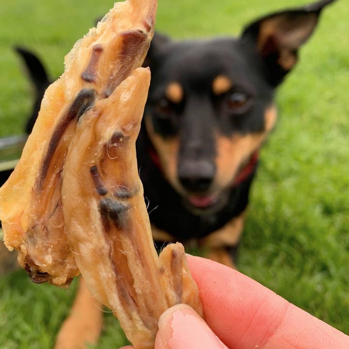 Rover Pet Products - Wholesale Pet treats – Dog - Flap Ya Wings - Chicken Wing Bites