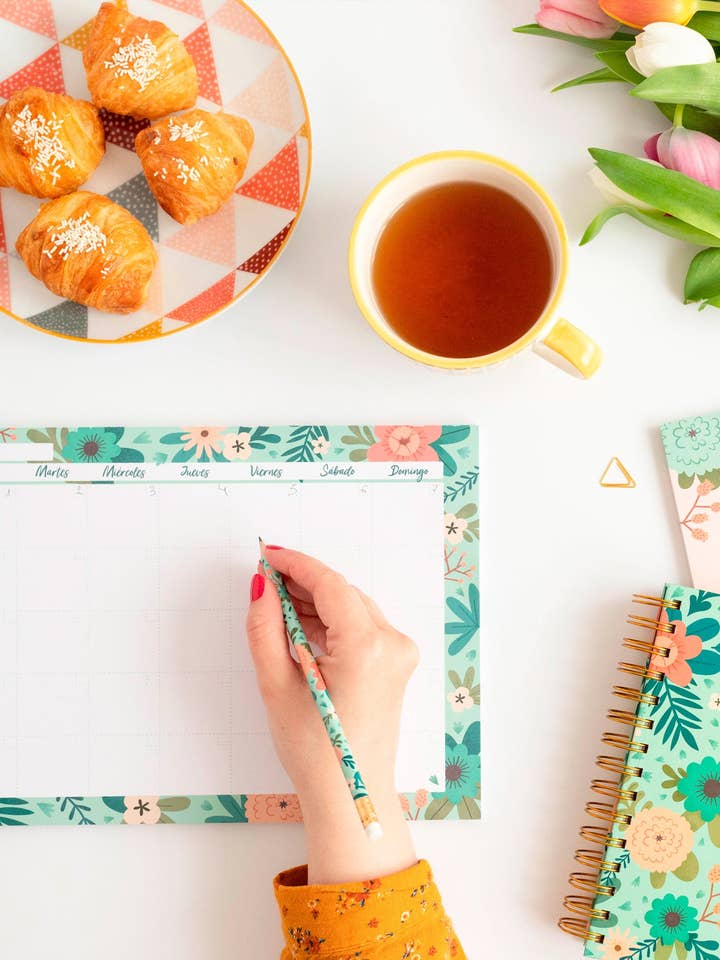 Planejador mensal do início da história por atacado de IVY PAPER