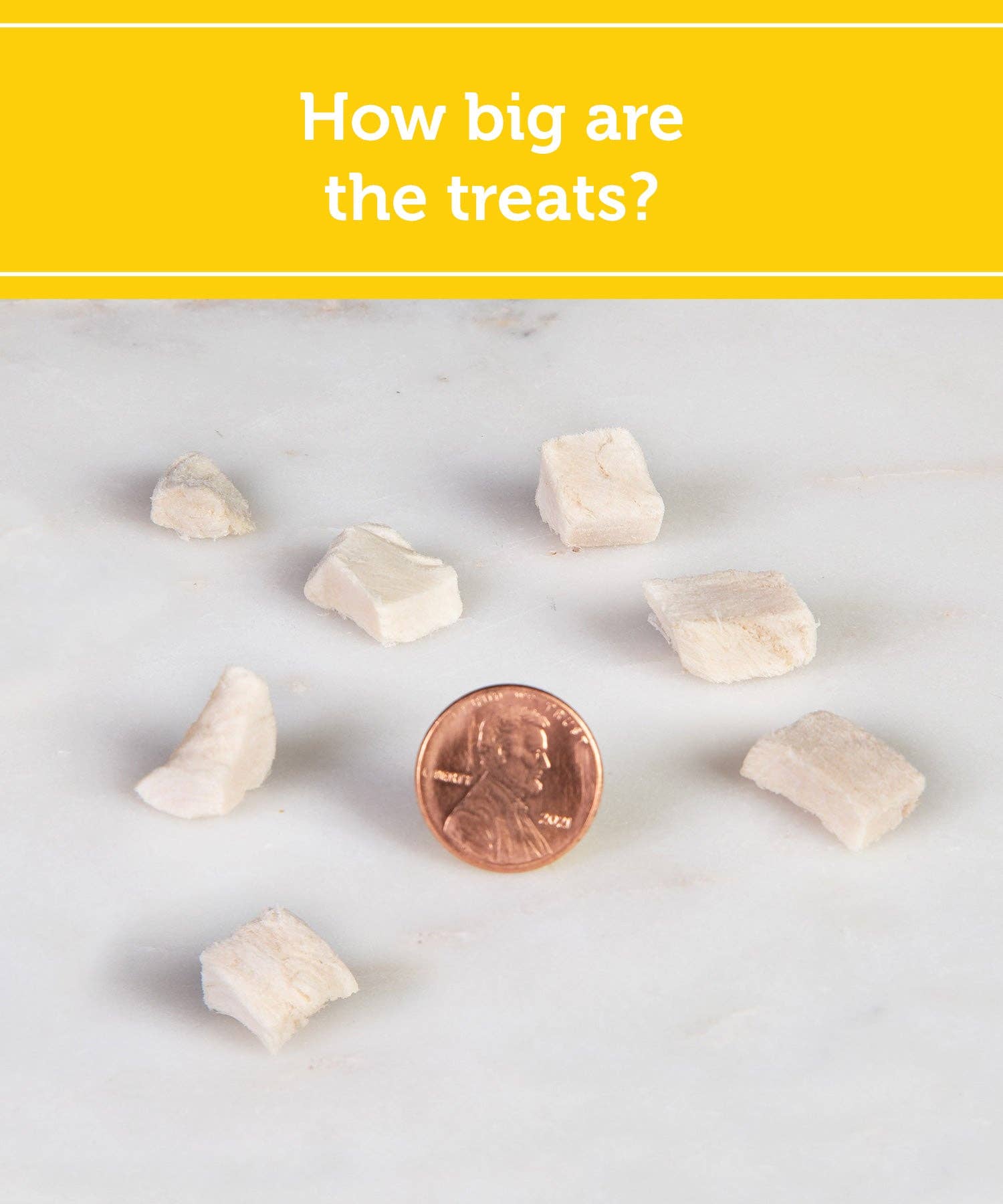 Fig & Tyler - Wholesale Pet Treats - Dog - Freeze-Dried Chicken Breast Morsels3