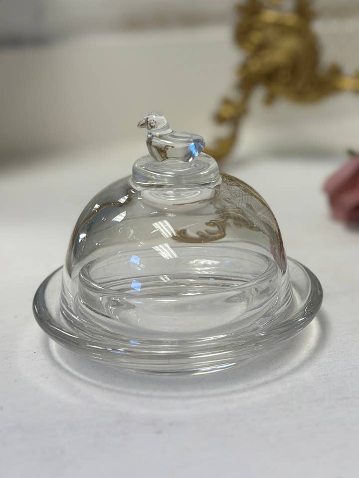 Glasfågelkupa för wholesale av Vagabond Vintage