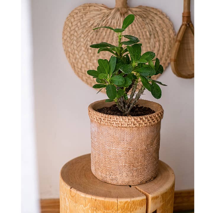 Rustic Reach - Wholesale Plant Pot - Straw Looking Concrete Planter