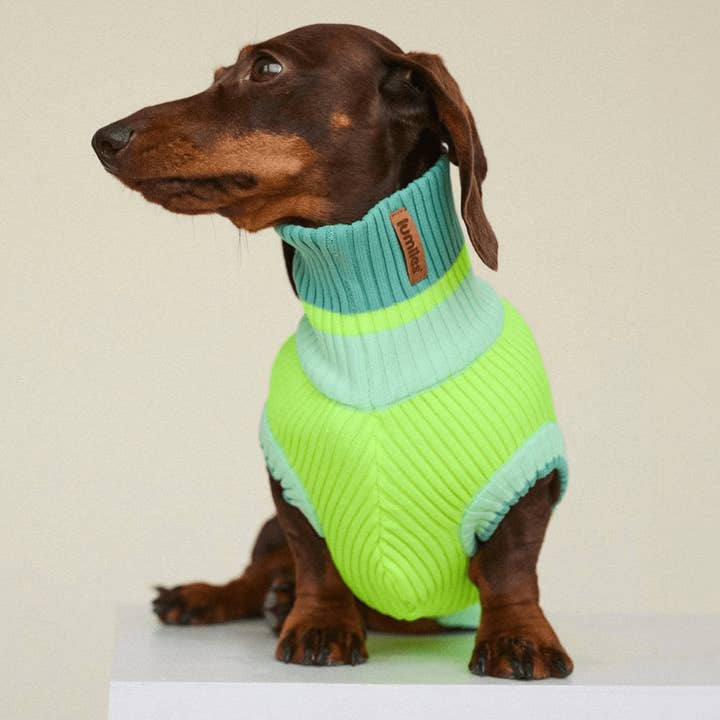THE GLOW JUMPER 2.0 - Neon Hundepullover - (Neon Matcha) für den Großhandel von lumiies - high visibility