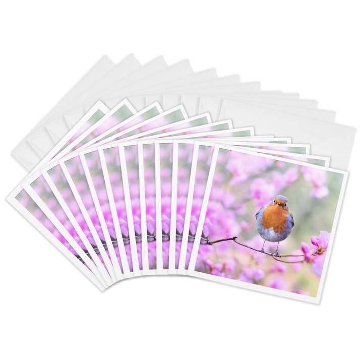 3dRose, Syngende Rødhals Forårsfugl På Farverig Baggrund Dyr Fugle, Kort for engroshandel hos 3dRose