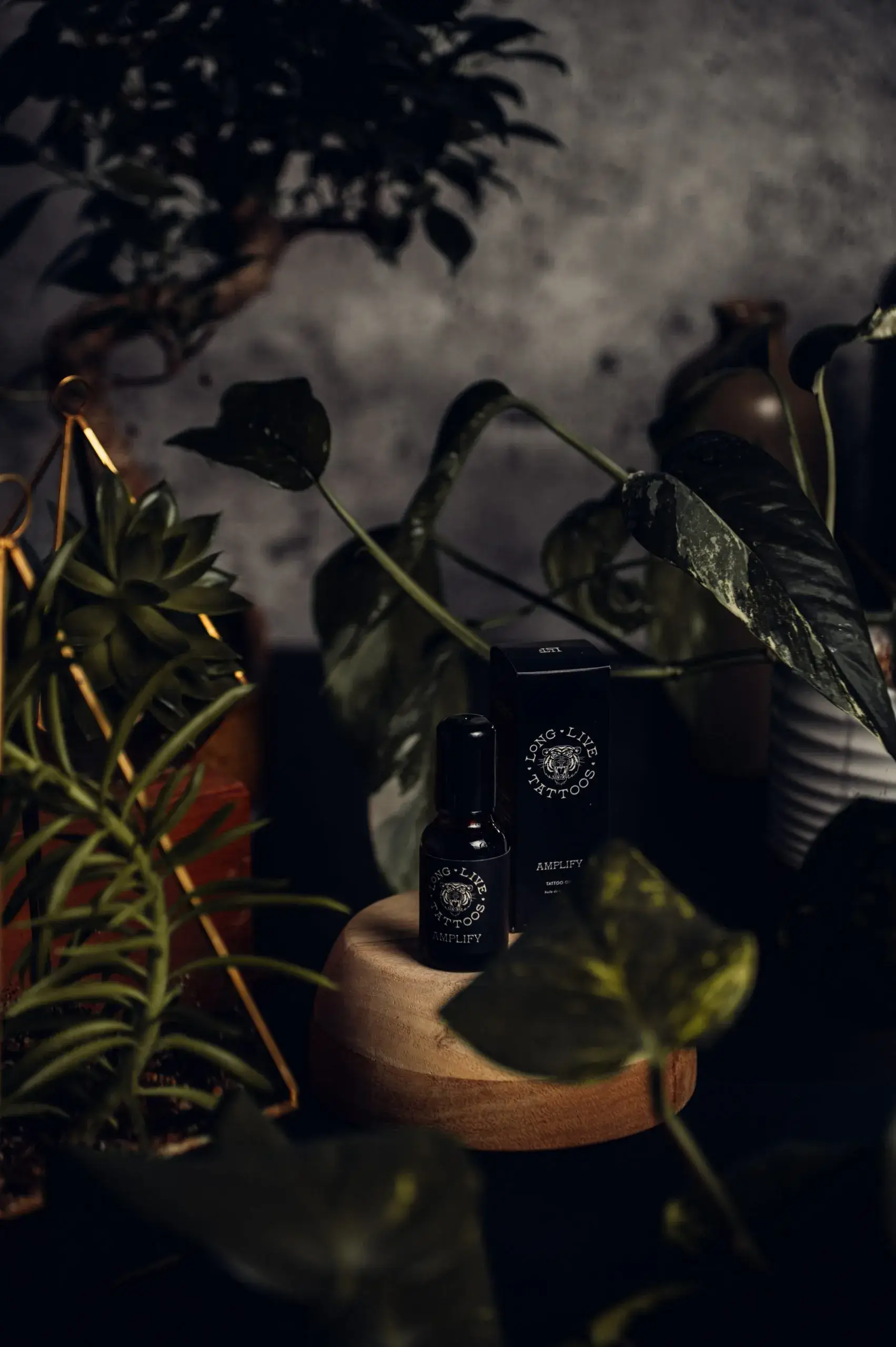 Long Live Tattoos - Wholesale Tattoo Ointment/Care - Amplify - Tattoo Oil1