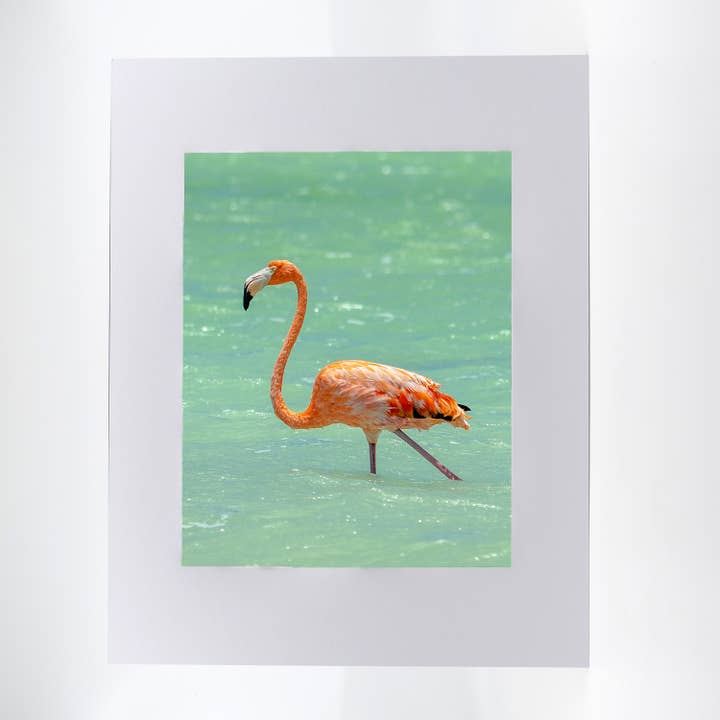 Artwork-Flamingo 1 for wholesale by Mike Ring Photography