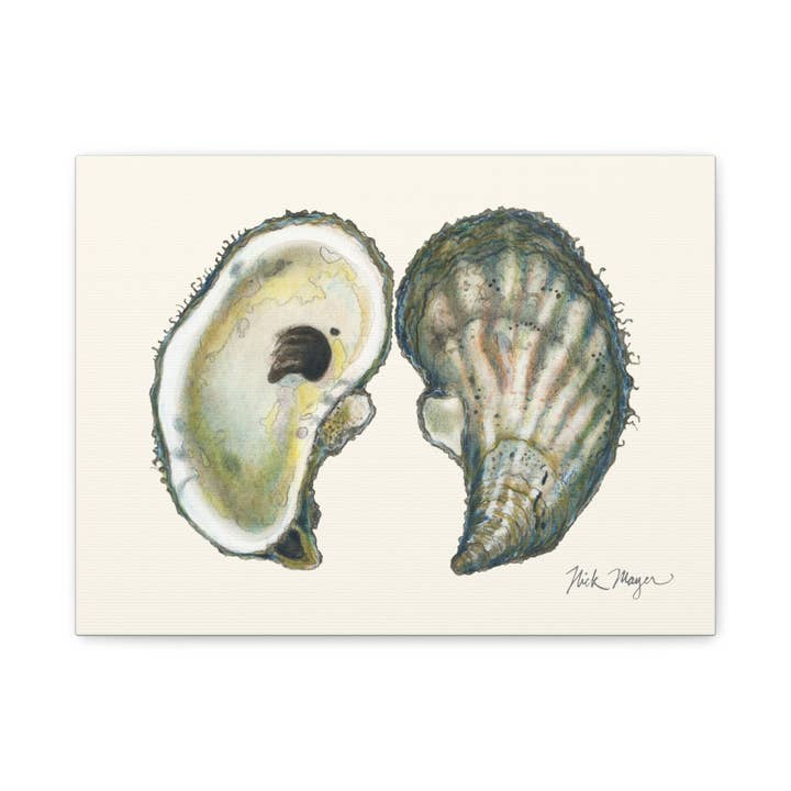 Atlantic Oysters I Canvas Print for wholesale by Nick Mayer Art