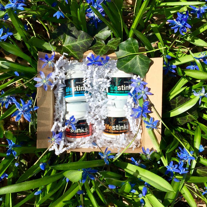 Duggan Sisters - Wholesale Deodorant - Unisex - deodorant minis sampler (4 months of lifestinks)2