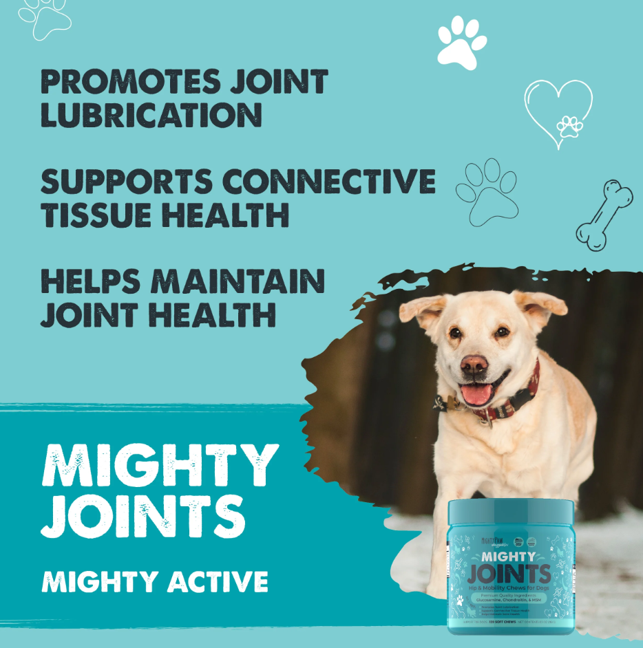 Mighty Paw - Wholesale Pet Supplement - Dog - Mighty Joints: Hip & Mobility Supplement5