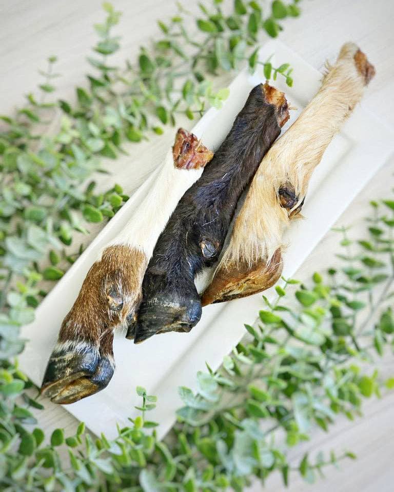 Naked Beasts, Inc. - Wholesale Pet Treats - Dog - Sheep Trotter - Limited Edition0