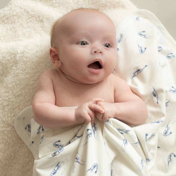 Manta de camarones azules para venta al por mayor de Ciconia Organics