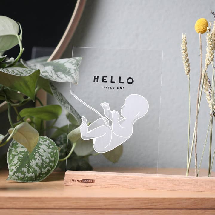 Håndtegnet illustration | Nyfødt | tørret buket for engroshandel hos Framed Stories