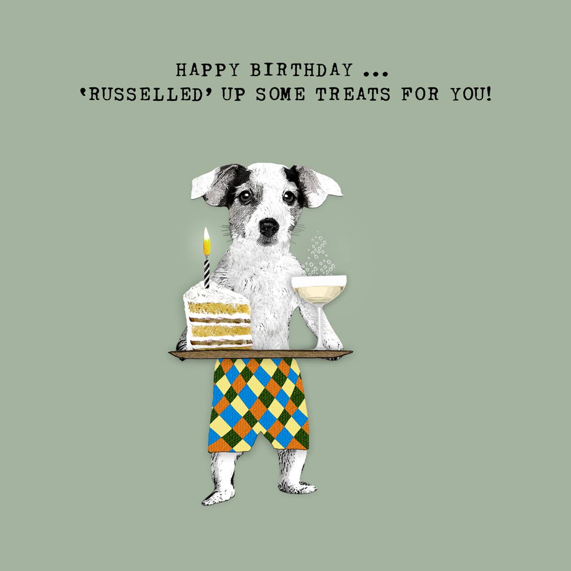 Sally Scaffardi Design - Wholesale Birthday Card - PA022 ... Birthday Card ...Jack Russell dog with treats1