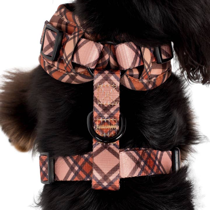 Pablo & Co. Boutique - Wholesale Pet Harness - Dog - Kensington: Adjustable Harness