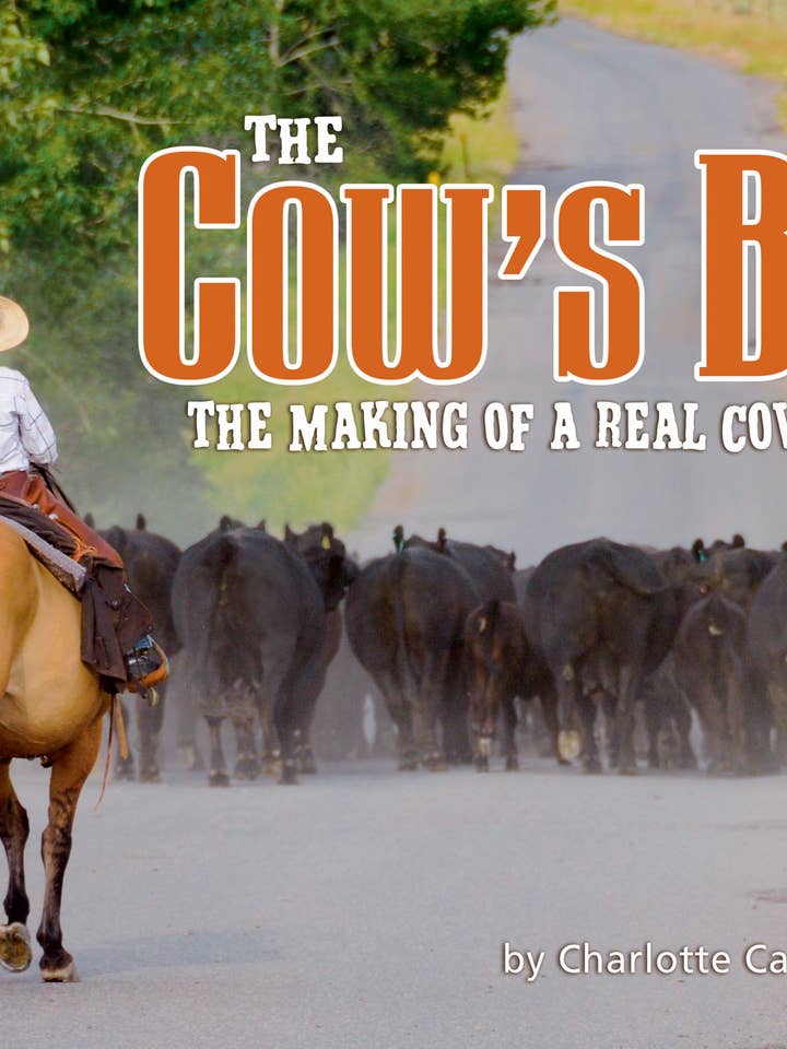 Cow's Boy for wholesale by Farcountry Press
